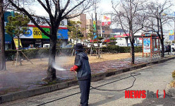 나무도 깨끗이