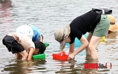 괴산 둔율올갱이축제 우수 농어촌축제 선정