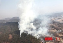 옥천 동이면 산불