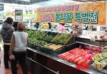 다사농수산물소비자센타슈퍼 | 봄나물 구입에 나선 소비자들