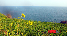 봄을 품은 다랭이마을