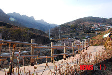 봄을 품은 다랭이마을