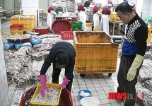 남해해경청, 화공약품 쓴 170억대 수산물 유통업체 3곳 적발