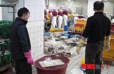 남해해경청, 화공약품 쓴 170억대 수산물 유통업체 3곳 적발