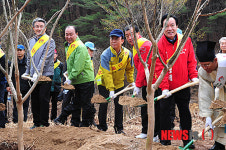 다문화 가족과 함께, 희망 나무심기