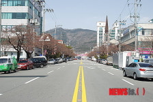 창원시, 벚꽃없는 세계적 명품 군항제 개막?