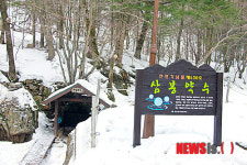 1박2일도 머물렀던 건강여행지 국립삼봉자연휴양림