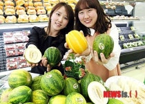농협유통, 경북 고령 파파야멜론 출시