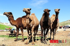 우리들은 귀하신 몸