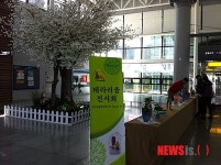 KTX 김천·구미역, 야생화·분재 전시회 호응