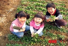 송파구, 14일 오금동 솔이텃밭 개장식