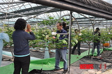 충남도 뉴새마을운동·자원봉사로 도민과 소통