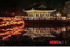 청도소싸움축제 또다른 볼거리 유등제 열려