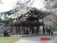 부여군, 충남문화재자료 제101호 ‘영일루’ 정비