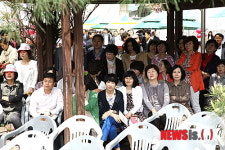 충남도 영산홍 축제