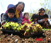 고사리 손으로 농작물 함께 심어요