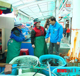 어시장 찾아 애로사항 청취