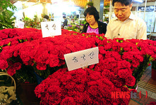 카네이션 원산지 단속 나선 국립농산물품질관리원