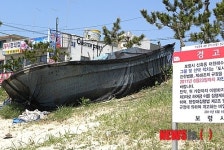 대천해수욕장 녹지 내 불법적치물  15일 행정 대집행