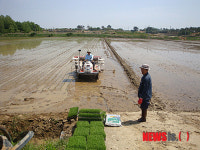 정읍 영원면에서 지역 내 첫 모내기
