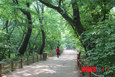 함양군 상림공원