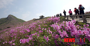 철쭉의 명산 황매산