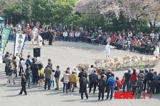 부산 용두산 공원 야외광장 상설전통공연 인기