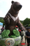 곰취를 먹고 사는 반달곰