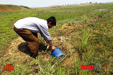 북한 가뭄, 남포에서
