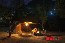 6월, 자연에 물들다…하루 캠핑장 베스트7