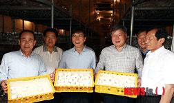 부여 양송이를 선보이는 안희정 지사