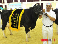 포천시 묵방목장 정귀영씨 그랜드챔피언 영예