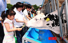 서울 도심 속 목장 나들이