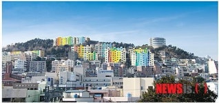 부산, 좌천동 고지대언덕 ‘무지개 나무숲’ 변신