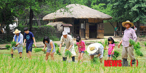 민속촌에서 모심기 체험
