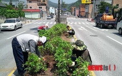 아름다운 정선군 가꾸기 사업 전개