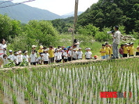 화천, 어린이 농촌사랑 농심교육 인기