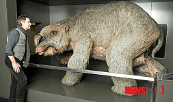 코뿔소만한 고대 웜뱃  디프로토돈