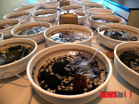청양군 농업기술센터 반딧불이 '우화' 성공