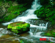 태백시 내달 7일부터 시티투어버스 운영