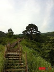 별유천지 비인간, 탄성 뿐…지리산 계곡 트레킹