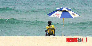 고독한 해양경찰