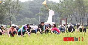 함양군 상림공원 정화활동