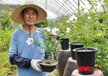 분재 무궁화 들어보셨나요