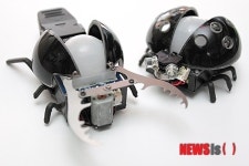 예술이 돼버린 벌레들, 이천 상상나라 곤충체험