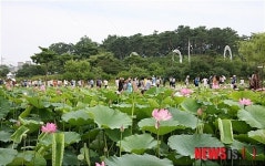 부여 ‘서동연꽃 축제’ 26일 궁남지 수상무대서 개막