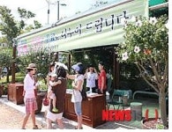 부산 두레라움 광장에 무궁화 꽃이 피었습니다
