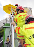 이동안전체험차량 이용한 교육