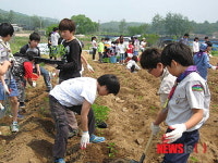 파주 군내초등학교, 유네스코협동학교로 지정