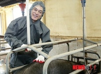 제주 흑돼지 어루만지는 문재인
